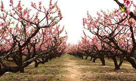 古窯浦村 古窯浦村
