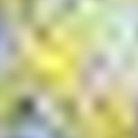 IC 1137 GALEX 彩色圖