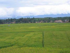 下丘坡自然村 下丘坡自然村