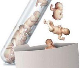 胚胎移植 胚胎移植