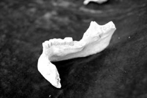 田園洞人 田園洞人