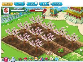 百度開心農場 百度開心農場