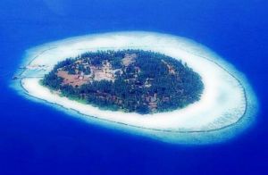 馬爾地夫椰子島 馬爾地夫椰子島