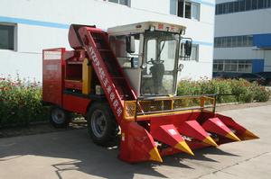 玉米生產機械化技術指導意見