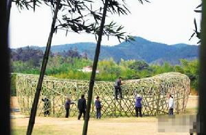 （圖）雷人山寨