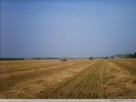 嘉蔭農場 嘉蔭農場