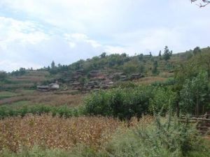 後坪自然村 後坪自然村