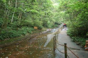 十八里香草溝 十八里香草溝