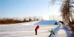 植物園鳳凰滑雪場
