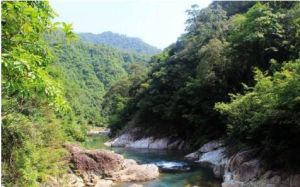 武夷源生態旅遊區 武夷源生態旅遊區