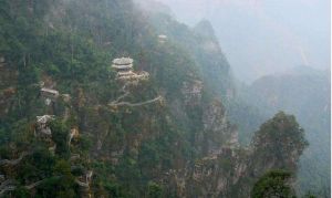 金秀瑤變 金秀瑤變