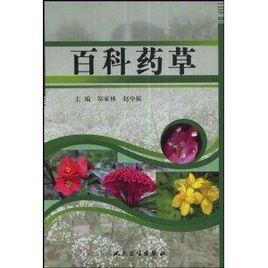 百科藥草 百科藥草