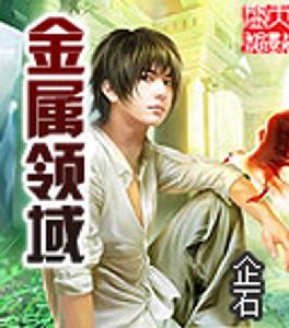 金屬領域 金屬領域