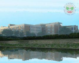 松柏第二國小 松柏第二國小