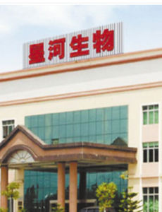 廣東星河生物科技股份有限公司 廣東星河生物科技股份有限公司
