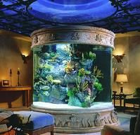 亞克力魚缸