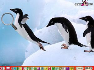 快樂企鵝找數字 快樂企鵝找數字