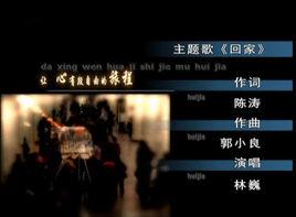 回家[林巍演唱歌曲]