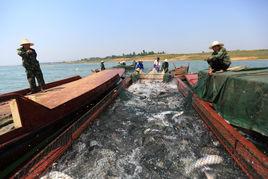 惠亭水庫 惠亭水庫