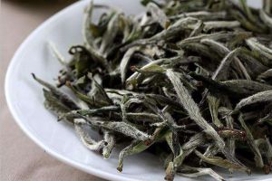 政和白茶 政和白茶