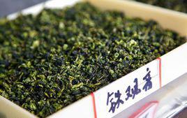 安溪鐵觀音茶 安溪鐵觀音茶