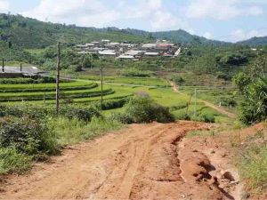 中田壩村 中田壩村