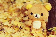 小黃雞[玩偶Kiiroitori]