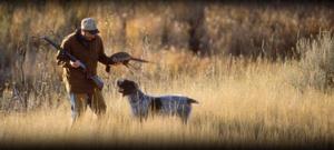 重慶精英狩獵俱樂部