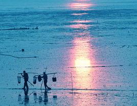 海門東灶港 海門東灶港