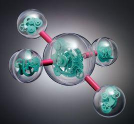 生物能量 生物能量