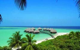 W寧靜島 W寧靜島