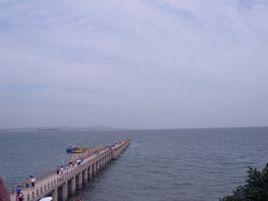 你不會唱歌 你不會唱歌