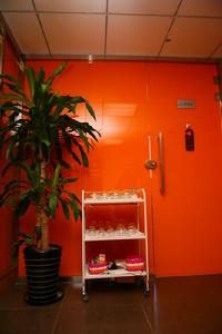 和澤一木調理中心中醫套罐，拔罐等經絡調理