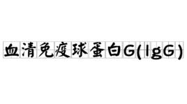 血清免疫球蛋白G(IgG) 血清免疫球蛋白G(IgG)