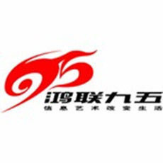 北京鴻聯九五信息產業有限公司 北京鴻聯九五信息產業有限公司