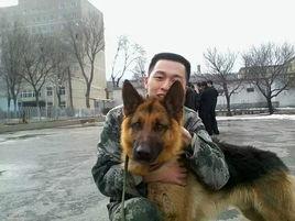 警犬訓導員 警犬訓導員