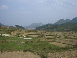 馬道村[雲南宣威市東山鎮下轄村]