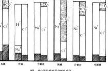 消化道分泌液的電解質成分