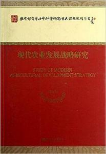 現代農業發展戰略研究
