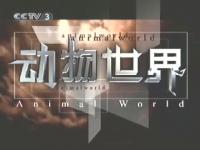 《動物世界》