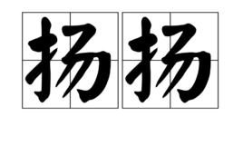 揚揚[漢語詞語]
