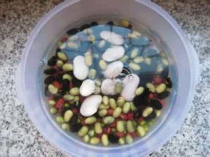 陳皮五色豆糖水 陳皮五色豆糖水