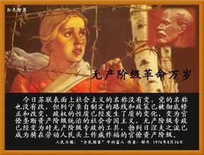 蘇聯修正主義 蘇聯修正主義