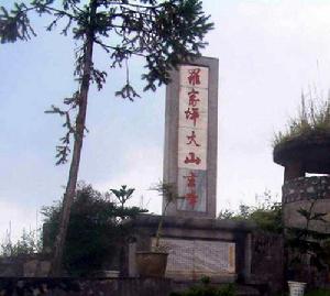 羅家坪大山收復戰 羅家坪大山收復戰