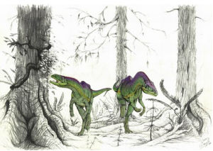 小力加布龍 小力加布龍