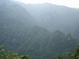 大神農架頂 大神農架頂