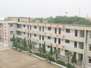 武漢市新洲一中