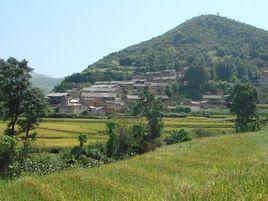 犁花尖村 犁花尖村