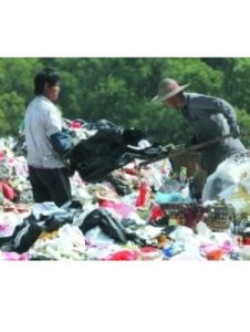 持久性有機污染物