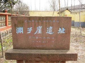 淵子崖村 淵子崖村